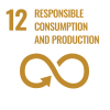 SDG nr 12 logo/Image